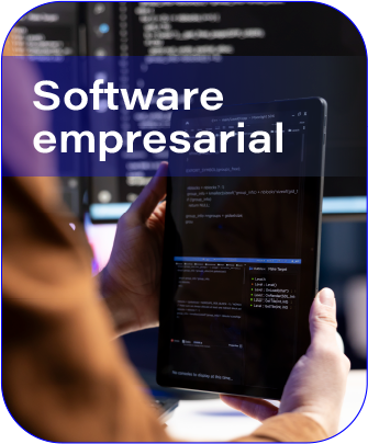 Software Empresarial
